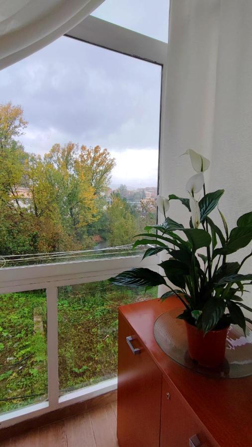 Il Roseto Bed & Breakfast Frosinone Ngoại thất bức ảnh