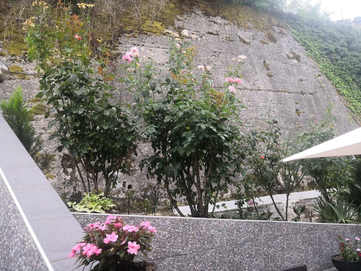 Il Roseto Bed & Breakfast Frosinone Ngoại thất bức ảnh